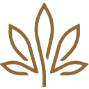 Kivaconfections logo