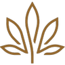 Kivaconfections logo