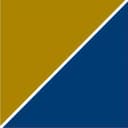PrecisionMedicineGroup logo