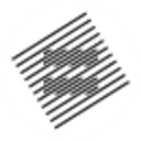 Parity logo