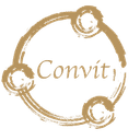 Convit Holding GmbH logo