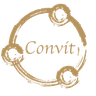 Convit Holding GmbH logo