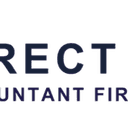 Direct Point Accountant Firm logo