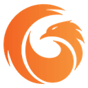 PhoenixTeam logo