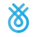 Flinks logo