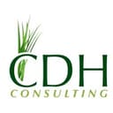 CDH Consulting logo