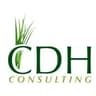 CDH Consulting logo