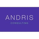 ANDRIS CONSULTING logo
