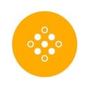 PulseiD logo