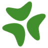 Bloomerang logo