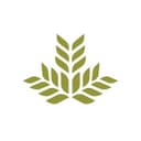 Northeast Georgia Health System logo