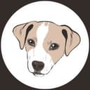 Dragon Veterinary Inc. logo