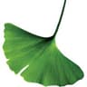 BowerGroupAsia logo