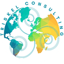 Triskel Consulting logo