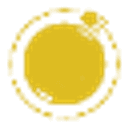 Sputnik Solutions Inc logo
